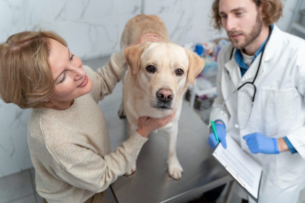 farmacie-veterinara-sector-4-6