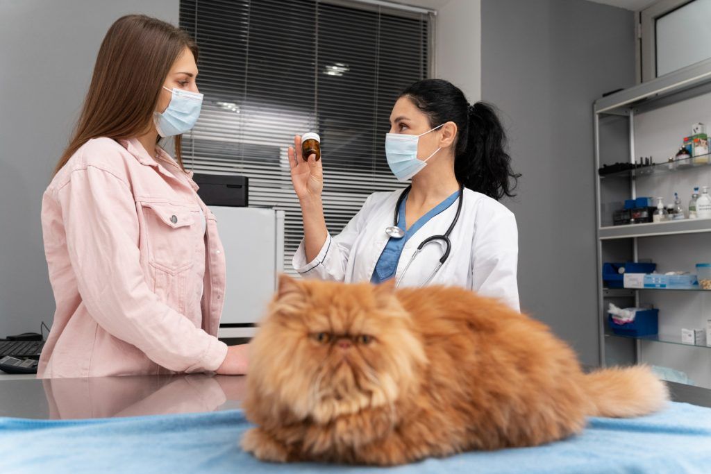 farmacie-veterinara-sector-4-7